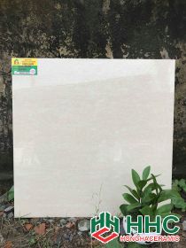 Gạch lát nền catalan 60x60 K176066